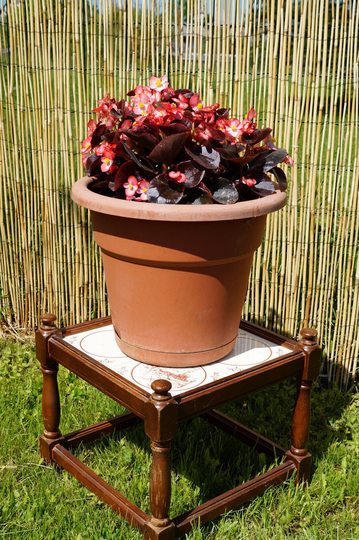 Vintage Flower Pot Stand, Retro Shelf, Low Bench, Flower Pot Stand, Wooden Stand