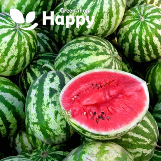 Watermelon Crimson Sweet- 90 Seeds -Giant Watermelon - Citrullus Lanatus