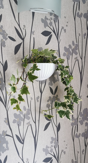 Indoor Wall Planter, Classic Ribbed Design, Plant Pot, Hanging, Perfect For Succulent & Cactus Plants
