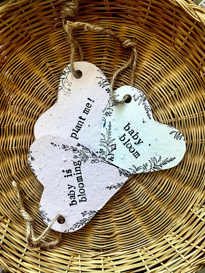 10Pcs Custom Seed Paper Baby Shower Favors For A Boy Or Girl, Plantable Party Favors, Bloom Is Blooming, Cards