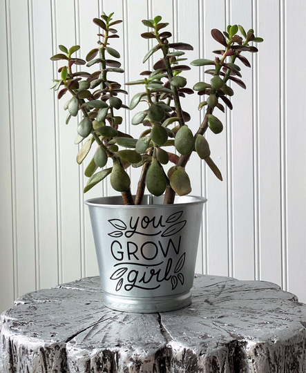 You Grow Girl Planter/Silver Galvanized Metal Indoor Farmhouse Décor Inspirational Achievement Gift For Her