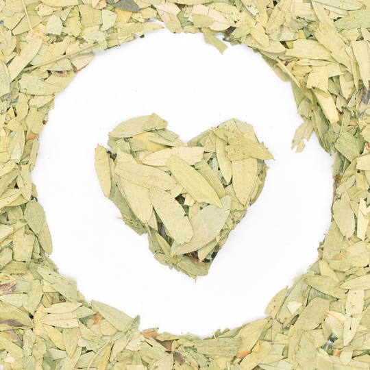 Senna Leaves 700G Liście Senesu Folium Sennae Sana Makki Premium Quality Herbal Tea Herb