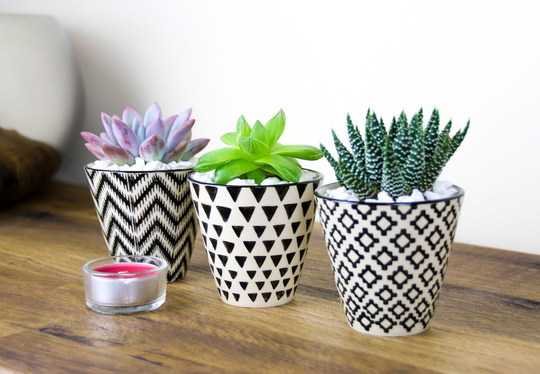 Set Of 3 Mini Geometric Planters With Succulent Plants | Modern Indoor Planter Kit Living & Decorative Gravel