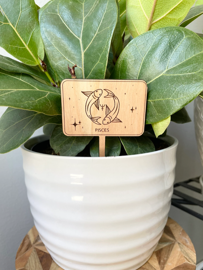 Zodiac Plant Signs| Markers| Birthday Gift | Boho Decor Sticks Garden Accessories| Pisces