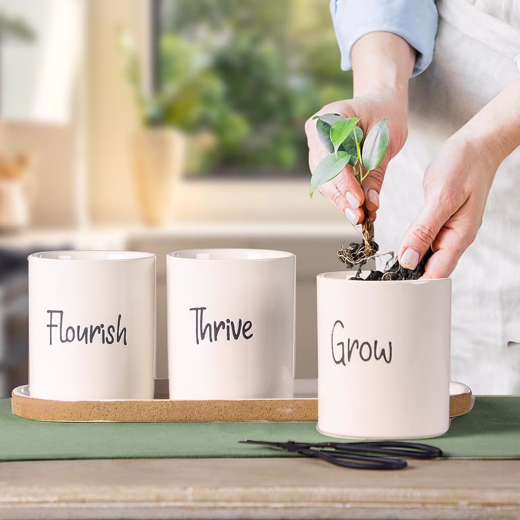 Set Of 3 Herb Pots With Tray White Ceramic Kitchen Windowsill "Grow", "Flourish" & "Thrive