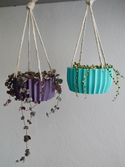 Shallow Succulent Hanging Plant Pot - Based Plastic Several Colours 3D Printed Planter Striped Eco Friendly Gift Present