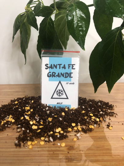 Santa Fe Grande Chilli Seeds