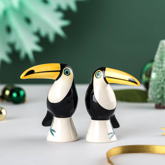 Handmade Ceramic Toucan Salt And Pepper Shakers