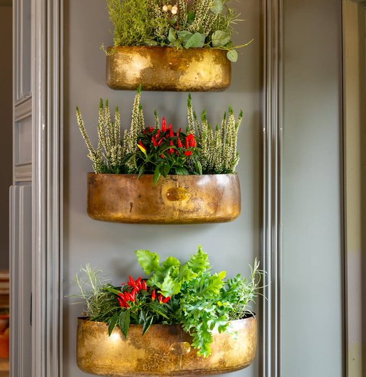 Cardamom Vintage Wall Planters Set Of Three