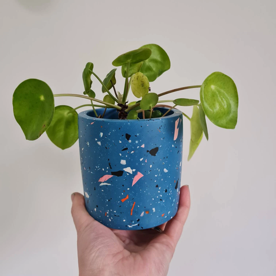 Round Terrazzo Plant Pot - Navy, Indoor Pot, Succulent Toothbrush Holder, Pen Make Up Brush Gift