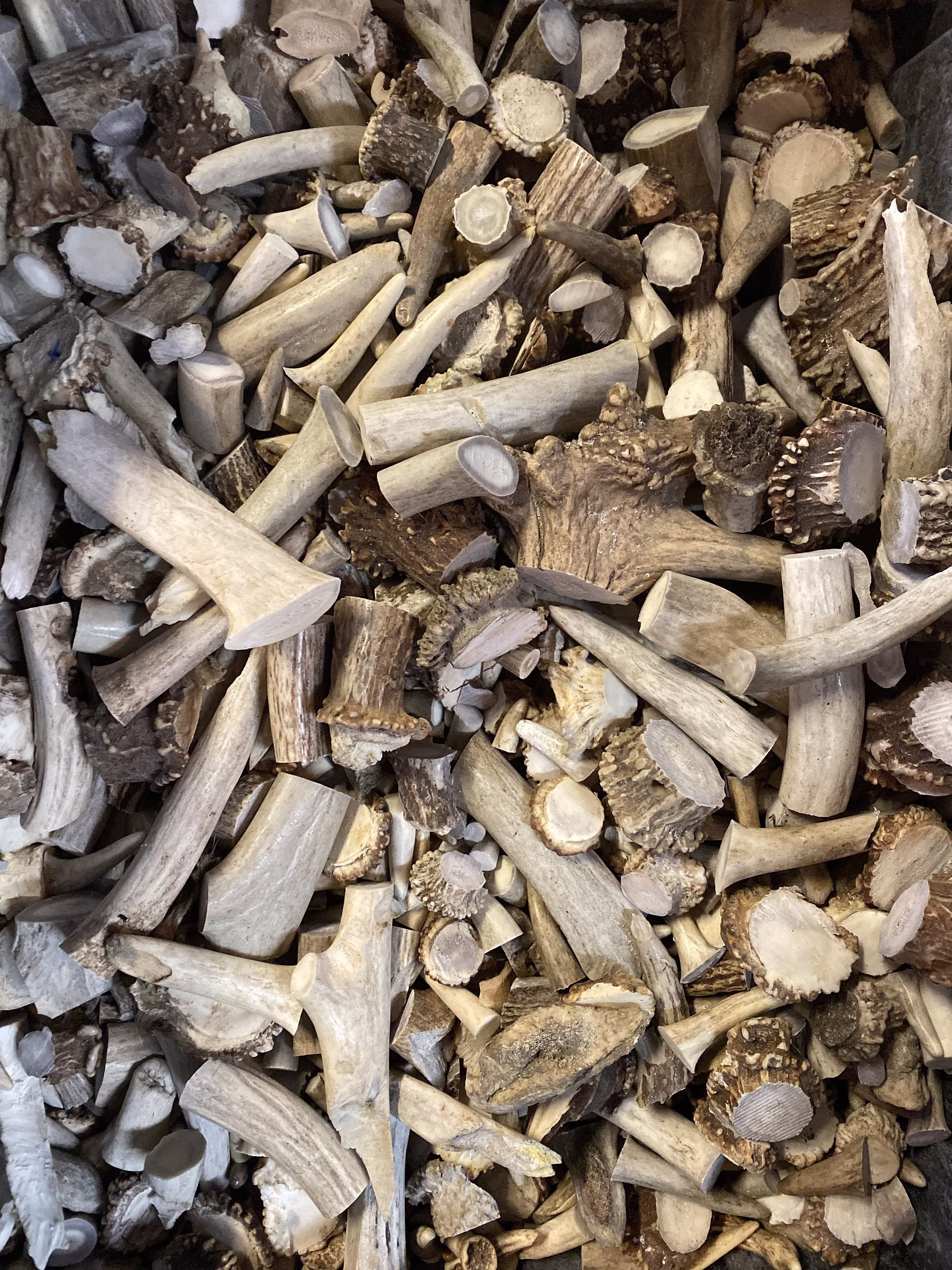 25 lbs-Deer Bulk Deer Elk Antler Scraps Pieces -Tips-Chunks -Chinese Medicine Antlers - Craft