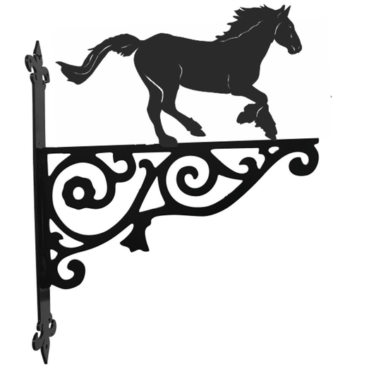 Cob Ornamental Hanging Bracket - Contemporary Hanging Basket Wall Mounted Decorative Garden Black