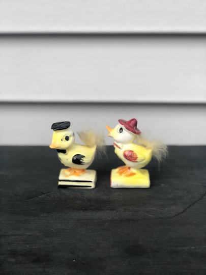 Ducks On Books With Feather Tail Salt & Pepper Shakers, Made in Japan