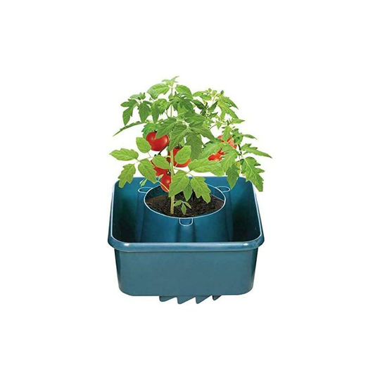 Garden Mile - 3x Tomato Grow Bag Plant Pots, Greenhouses Garden Pots Hardwearing Green Plastic for Tomatoes, Strawberries, Herbs or Outdoor Growing