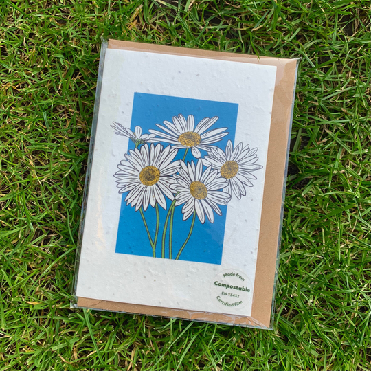 Daisy Illustration Design Plantable Seed Card - Blank Card, Thinking Of You, Thank Just To Say, Eco, Biodegradable