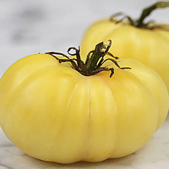 Tomato Seeds Jazon