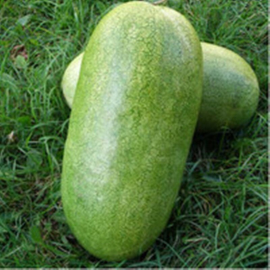 Watermelon Charlston Grey Seeds Heirloom Non Gmo For Planting | 201375