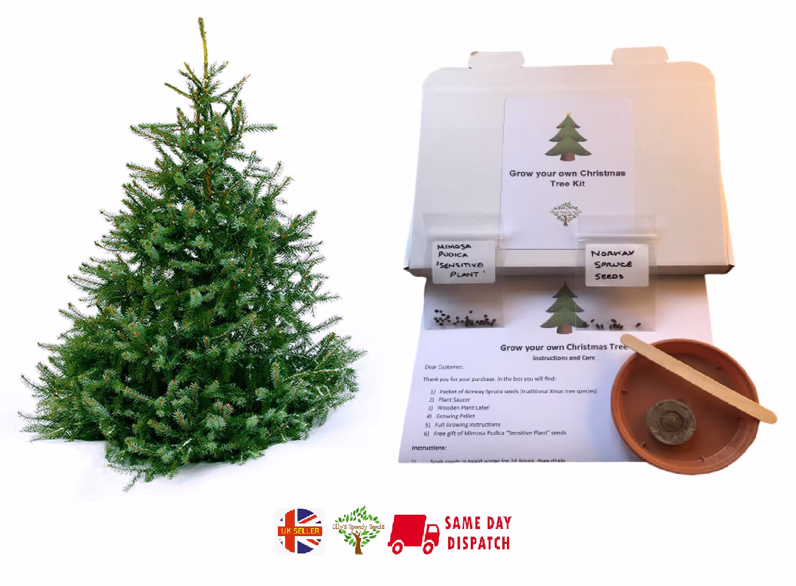 Grow Your Own Christmas Tree Kit | 2022 Xmas Kids Stocking Filler Idea Fun & Educational Same Day Dispatch +Free Gift