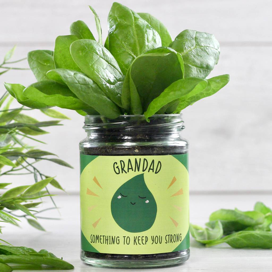 Personalised Strong Spinach Jar Grow Kit