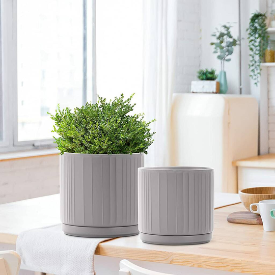 Pack Of Two Ceramic Pots Planters With Saucers