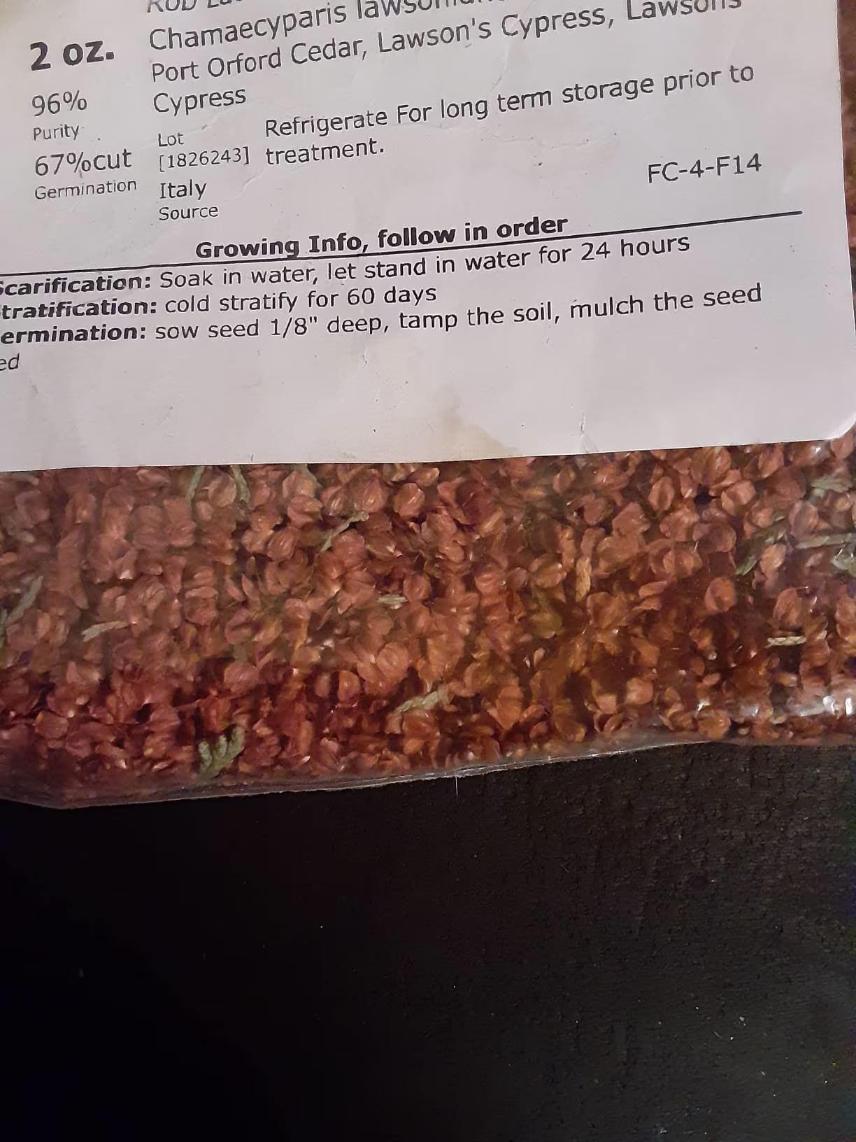 Port Orford Cedar Tree Seeds