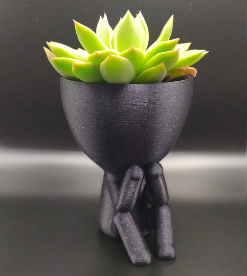 People Planter, Succulent Robert Plant With Drainage, Zen Garden People, Planter Pot
