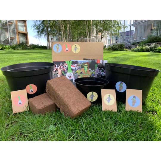 Beginner Grow Your Own Veg And Herb Kit