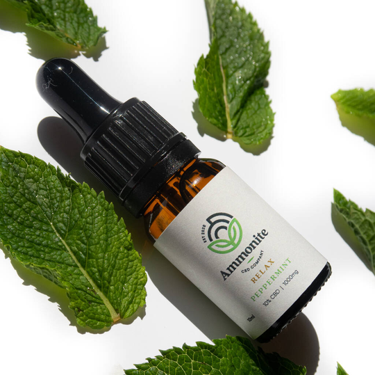 Peppermint 1000mg 10ml CBD/ MCT Oil 10 %
