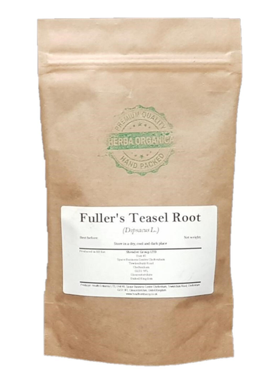 Fuller's Teasel Root - Dipsacus L # Herba Organica