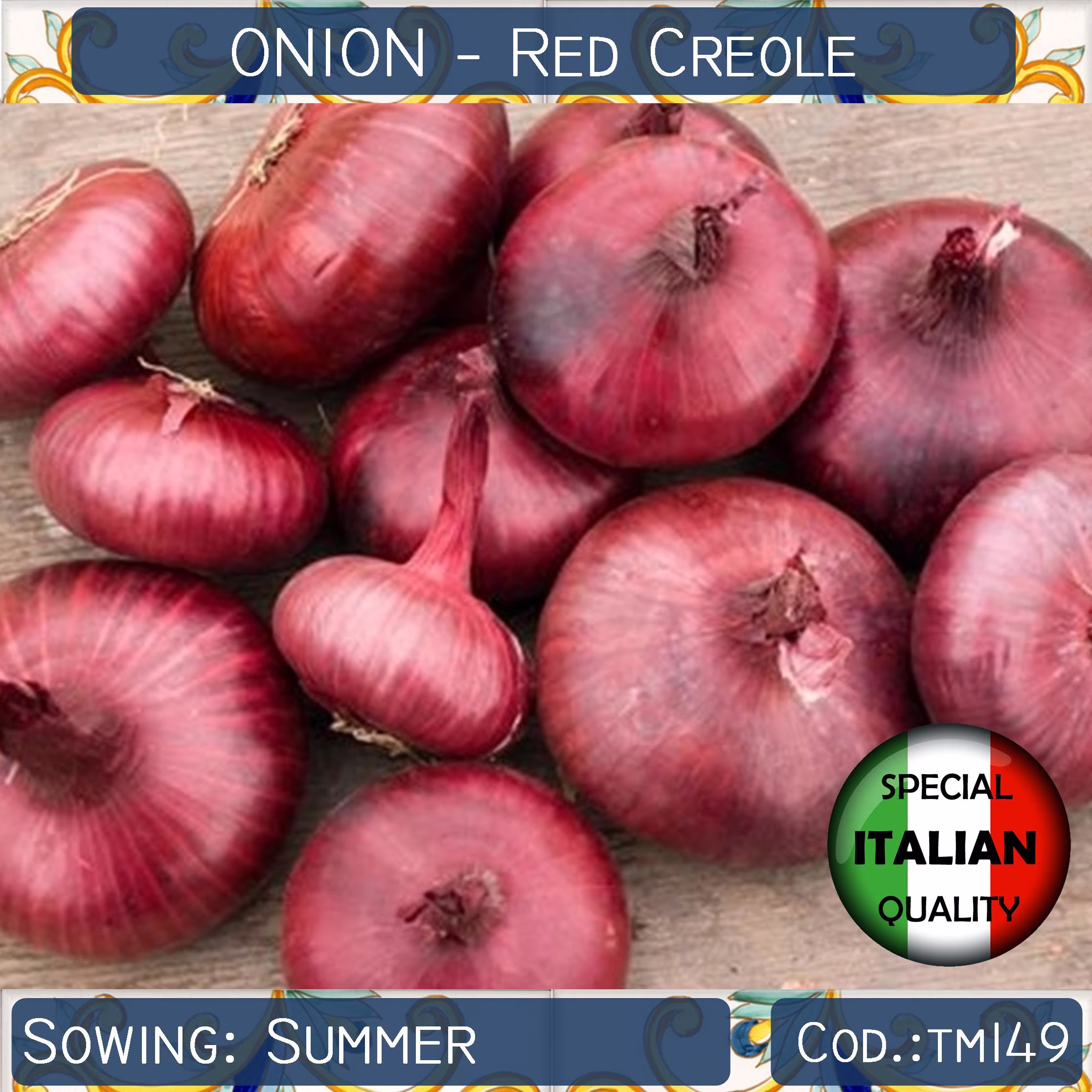 100+ Onion Red Creole Seeds, Flat Short Day Italian Vegetable Non Gmo #tm149
