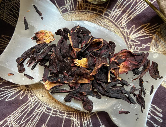 Hibiscus Flower, Love, Lust, Divination, All Natural