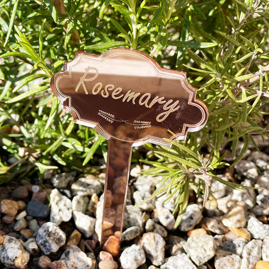 Personalised Engraved Rose Gold Mirror Vegetable Plant Herb Seed Markers