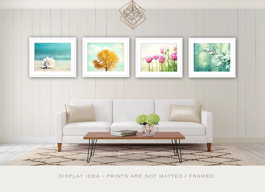 Four Seasons Wall Art - Set Of Prints, Photography Nature, Living Room Decor