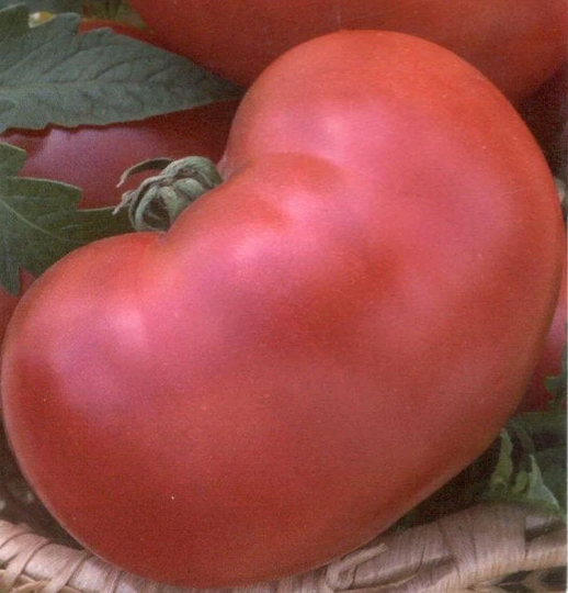 Seeds Tomato Potato Raspberry Sugar Large Mid-Ripe Fragant Tasty Vegetable Seeds From Ukraine