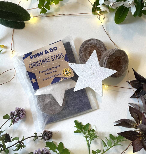 Christmas Star Plantable Paper Grow Kit