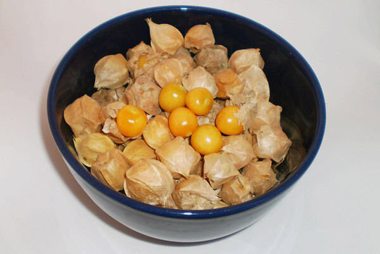 Vegetable - Tomatillo Pineapple Physalis Ixocarpa -10 Premium Quality Seeds -1st