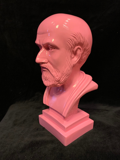 Pink Hippocrates Bust