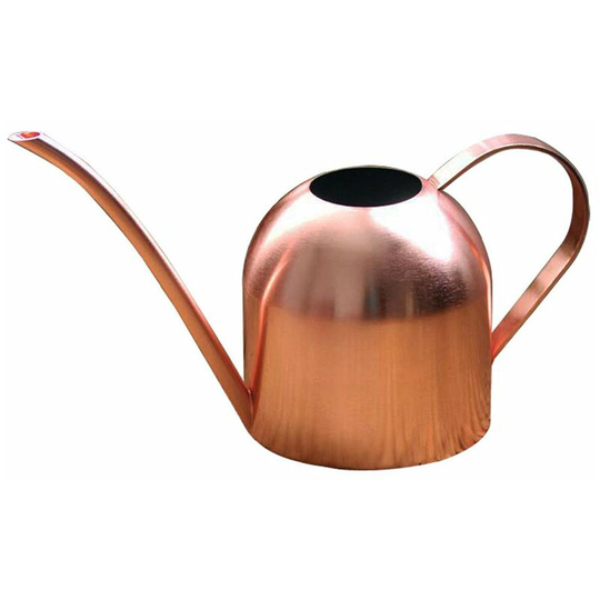 Rose Gold Small Watering Can kettle Helps You Water Tiny House Plants, Succulents, Bonsai or Herb Gardens - Steel Plant Waterer for Miniature Flower
