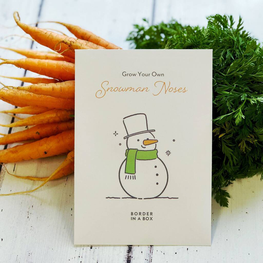 Grow Your Own Snowman Noses