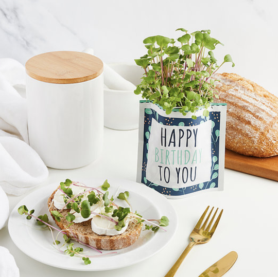Grow A Birthday Card