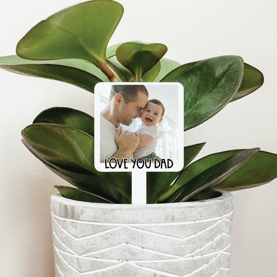 Love You Dad Photo Plant Marker, Father's Day Gift, Gift For Dad, Unique Garden Sign