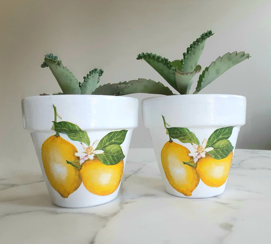 Set Of 2-Lemon Clay Pots-4.5 Inch, Terracotta Pots, Flower Indoor Planters, Lemon Decor, Lemons, Decoupage Pot