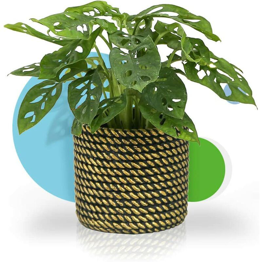 Flower Plant Pot - 4.7" Cement Pots with Drain Hole Modern Decorative for Indoor Planters
