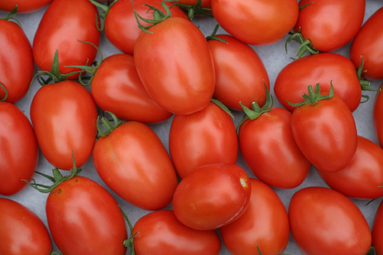 Batch Of 100 Roma Tomato Seeds