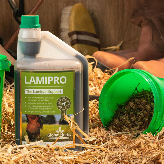 Global Herbs - Lamipro Supplement - 1 Lt - LAMIPROSUPPLIQ1L