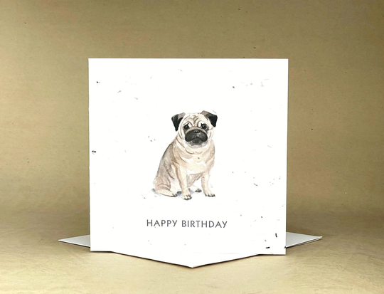 Plantable Eco-Friendly Seeded Card/Happy Birthday ... Pug