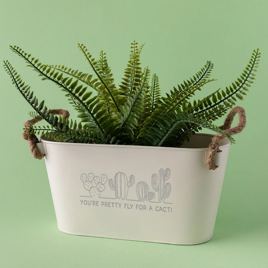 Small Cactus Plant Pot -