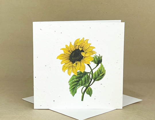 Plantable Eco-Friendly Seeded Card/Beautiful Sunflower #1