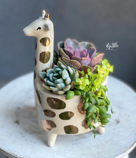 Chic Giraffe Succulent Arrangement Planter Pot | Decor
