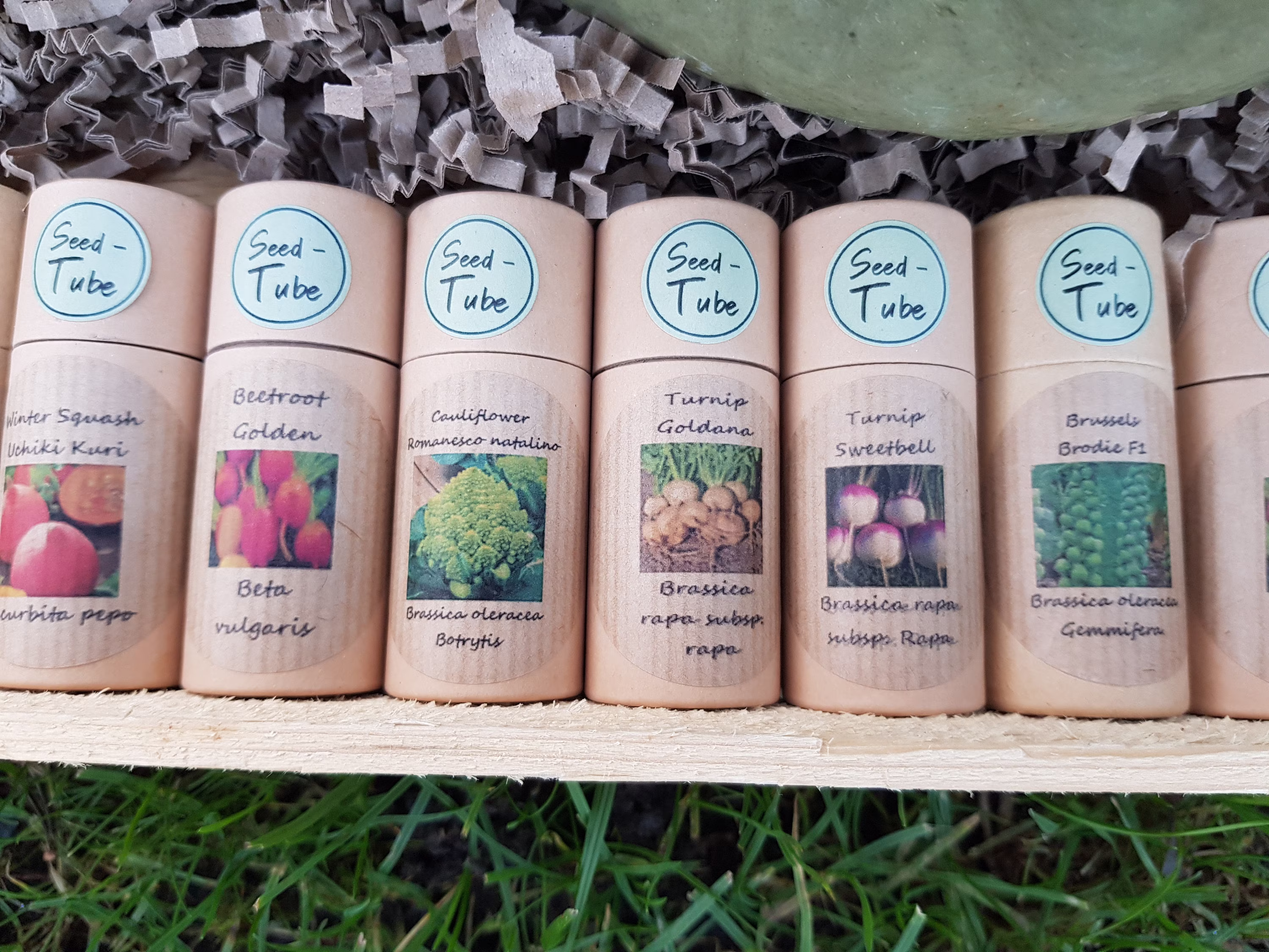 Seed-Tubes - Vegetable